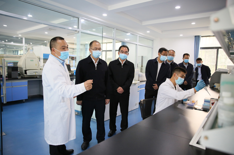 胡云赴省农科院调研农业科技创新工作「相关图片」 胡云赴省农科院调研农业科技创新工作「相关图片」